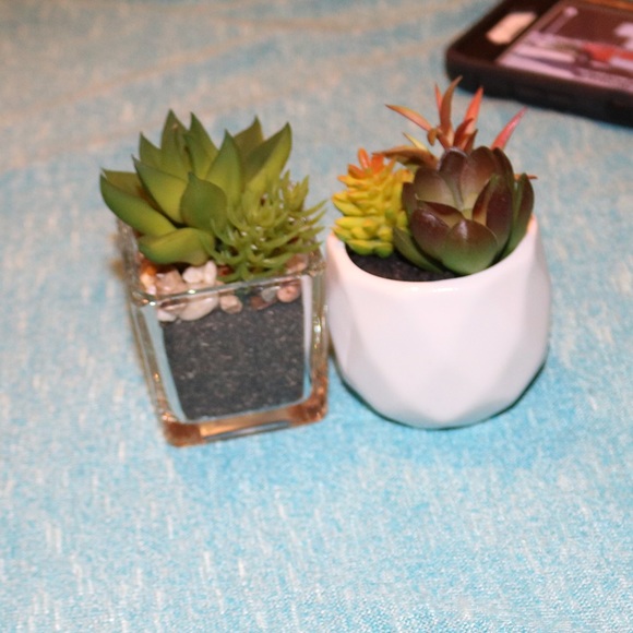 Two CUTE fake succulents! - Picture 6 of 6